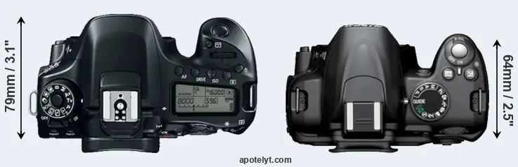 Compare 80D versus D3000 top
