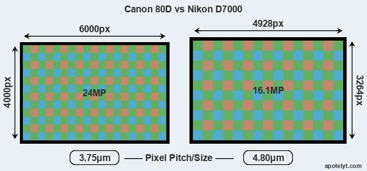 80D versus D7000 MP