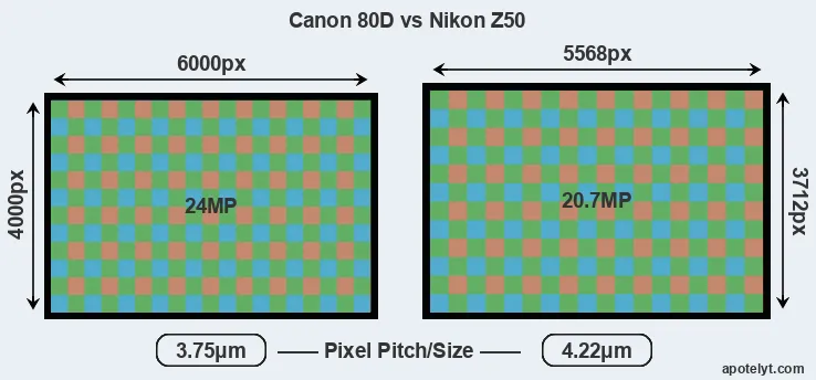 80D versus Z50 MP