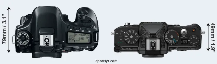 Compare 80D versus Zf top