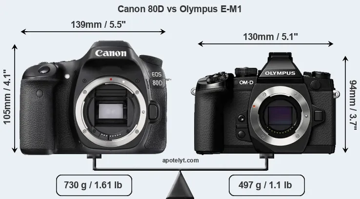 Size Canon 80D vs Olympus E-M1