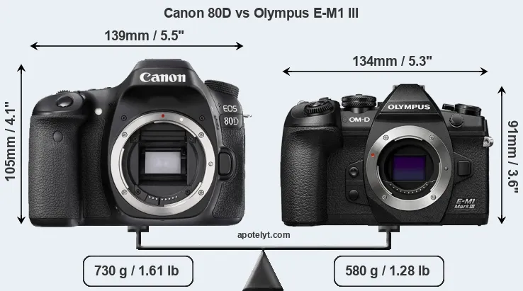 Size Canon 80D vs Olympus E-M1 III