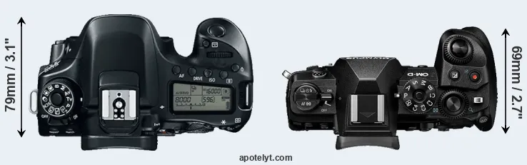 Compare 80D versus E-M1 III top