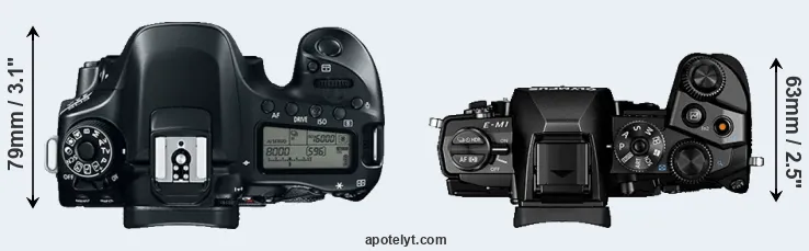 Compare 80D versus E-M1 top