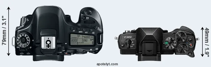 Compare 80D versus E-M10 IV top