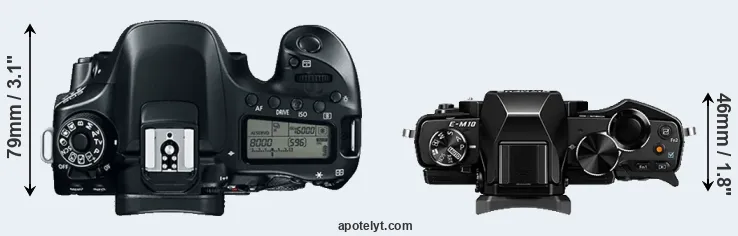 Compare 80D versus E-M10 top