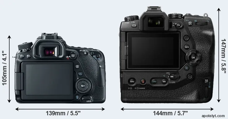 Comparison 80D or E-M1X rear