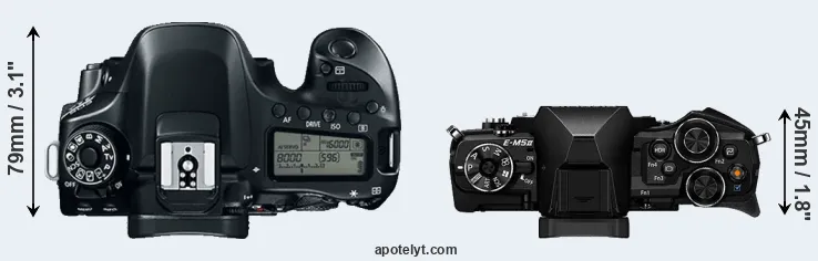 Compare 80D versus E-M5 II top