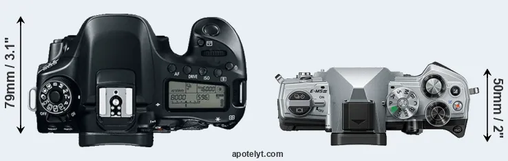 Compare 80D versus E-M5 III top