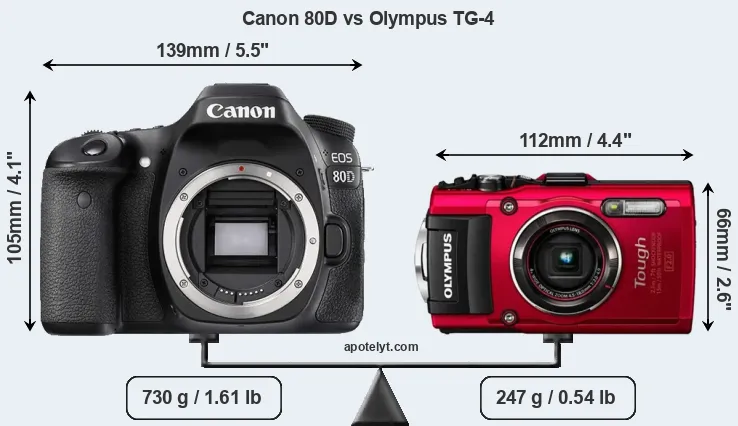 Size Canon 80D vs Olympus TG-4