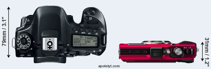 Compare 80D versus TG-4 top