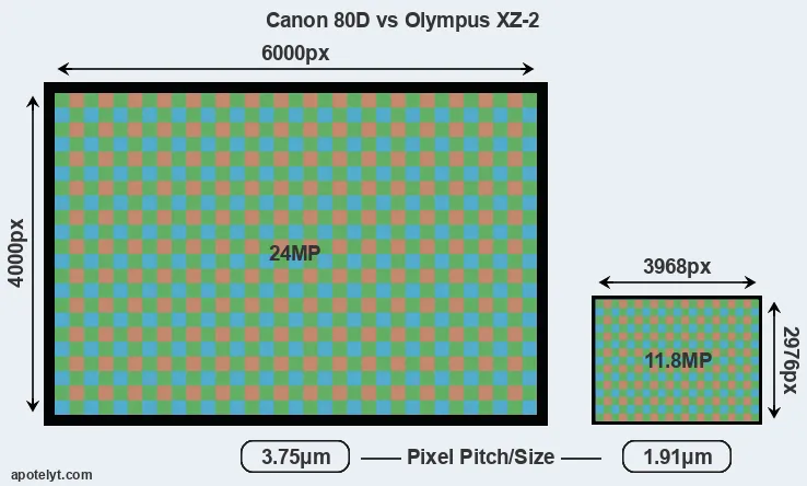 80D versus XZ-2 MP