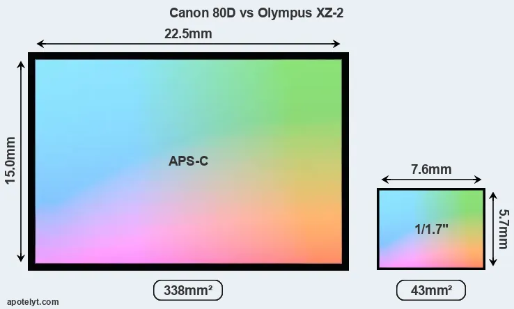 Canon 80D and Olympus XZ-2 sensor measures