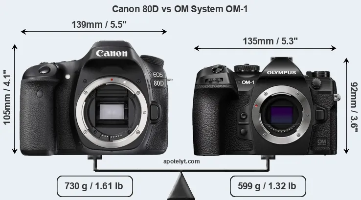 Size Canon 80D vs OM System OM-1