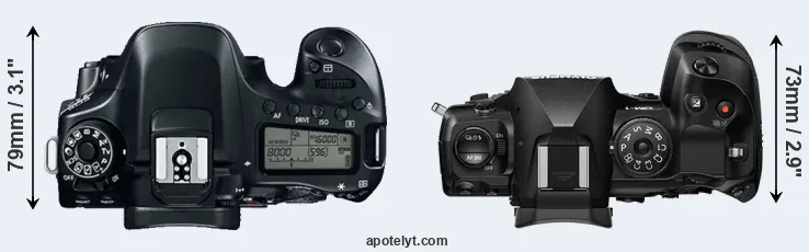 Compare 80D versus OM-1 top
