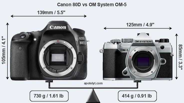 Size Canon 80D vs OM System OM-5