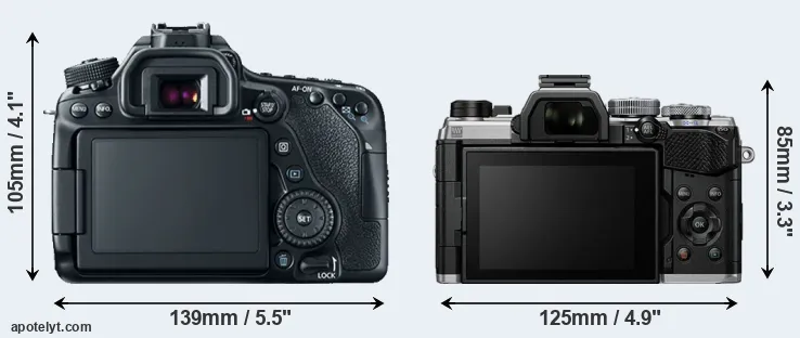 Comparison 80D or OM-5 rear
