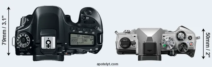Compare 80D versus OM-5 top