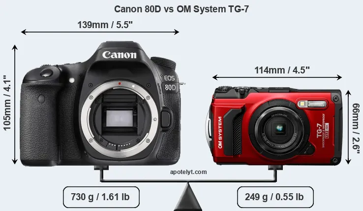Size Canon 80D vs OM System TG-7