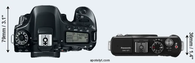 Compare 80D versus GF1 top