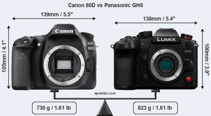 Size Canon 80D vs Panasonic GH6