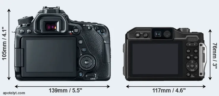 Comparison 80D or TS7 rear