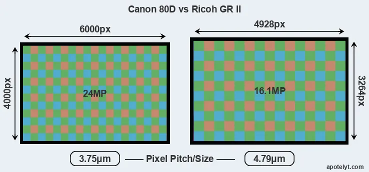 80D versus GR II MP