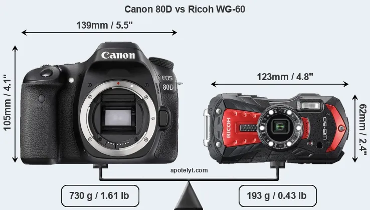 Size Canon 80D vs Ricoh WG-60