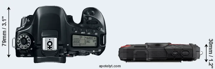 Compare 80D versus WG-60 top