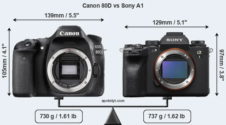 Size Canon 80D vs Sony A1