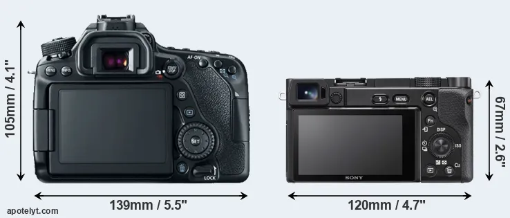 Comparison 80D or A6100 rear