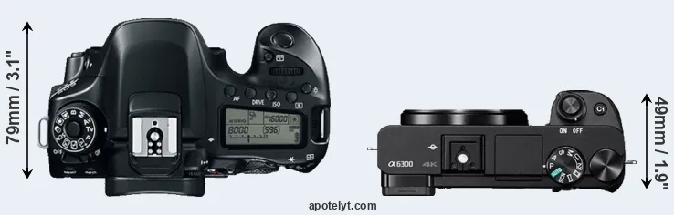 Compare 80D versus A6300 top