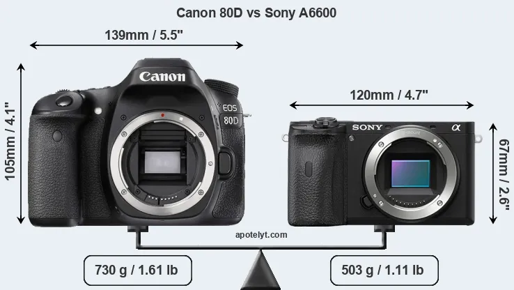 Size Canon 80D vs Sony A6600