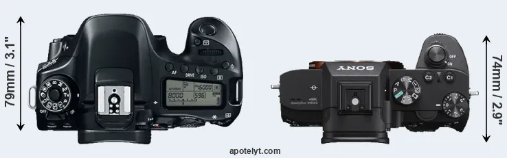 Compare 80D versus A7 III top