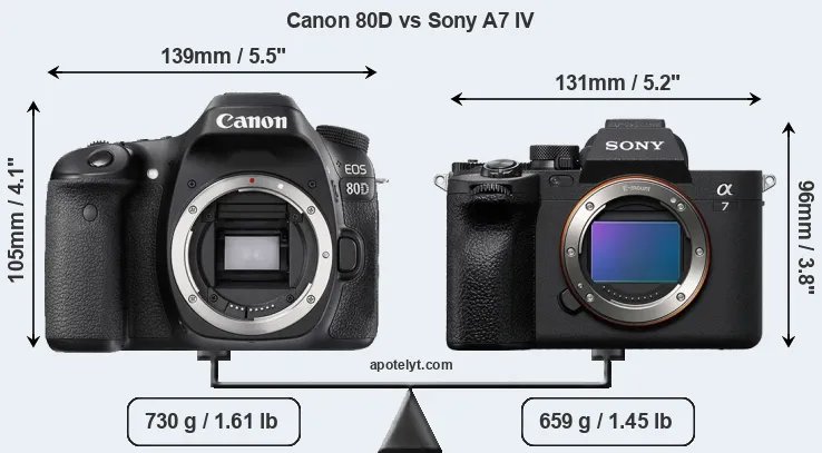 Size Canon 80D vs Sony A7 IV