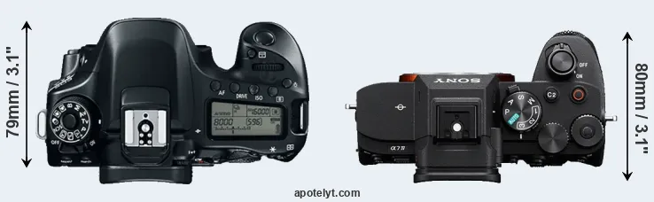 Compare 80D versus A7 IV top
