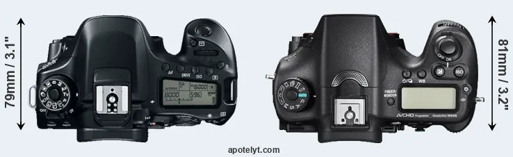 Compare 80D versus A77 II top