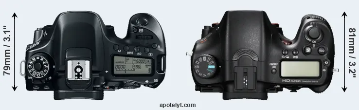 Compare 80D versus A77 top