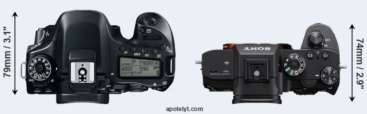 Compare 80D versus A7R IIIA top
