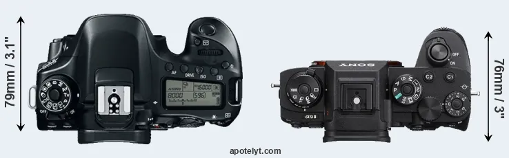 Compare 80D versus A9 II top