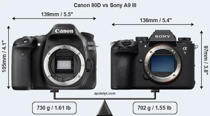 Size Canon 80D vs Sony A9 III