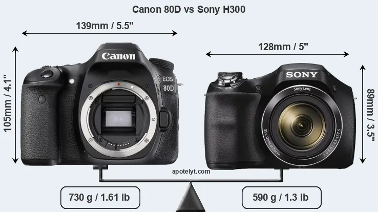 Size Canon 80D vs Sony H300