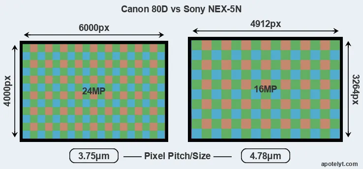 80D versus NEX-5N MP