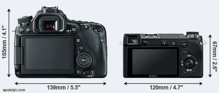 Comparison 80D or NEX-6 rear
