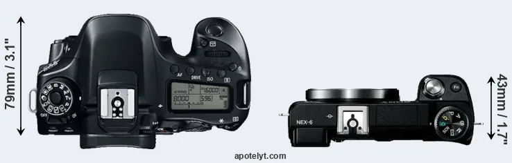 Compare 80D versus NEX-6 top