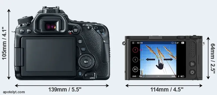 Comparison 80D or M1 rear