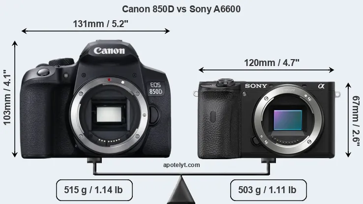 Size Canon 850D vs Sony A6600