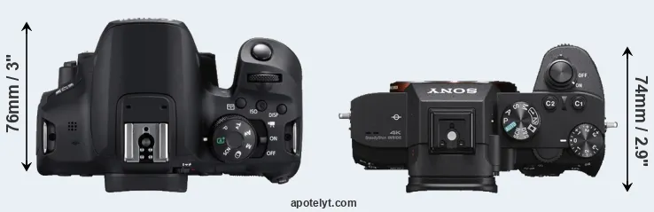 Compare 850D versus A7 III top