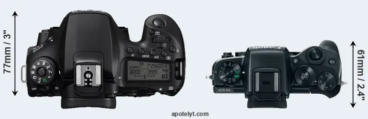 Compare 90D versus M5 top
