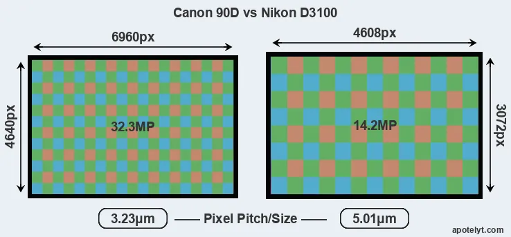90D versus D3100 MP